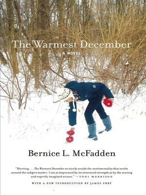 cover image of The Warmest December